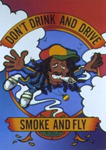 fly
